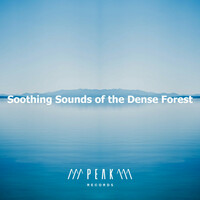 Thumbnail for the Calming Sounds - Soothing Sounds of the Dense Forest link, provided by host site