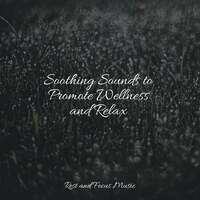 Thumbnail for the Ambiente - Soothing Sounds to Promote Wellness and Relax link, provided by host site