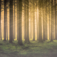 Thumbnail for the Asian Zen Meditation - Soothing Spa Sounds | Warming Deep Sleep link, provided by host site