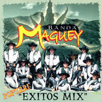 Thumbnail for the Banda Maguey - Sopa De Caracol (Mix) link, provided by host site