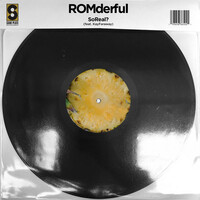 Thumbnail for the ROMderful - SoReal? link, provided by host site