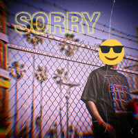Thumbnail for the Bandit - Sorry link, provided by host site