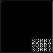 Thumbnail for the Datsik - Sorry link, provided by host site