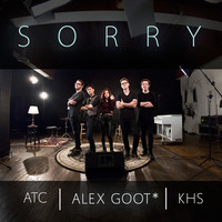 Thumbnail for the Alex Goot - Sorry (Originally Performed By Justin Bieber) link, provided by host site
