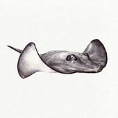 Thumbnail for the Great Dane - Sorry Steve link, provided by host site