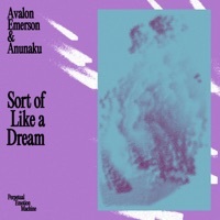 Thumbnail for the Avalon Emerson - Sort of Like a Dream link, provided by host site