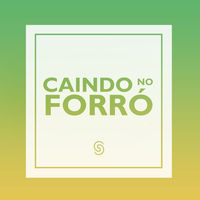 Thumbnail for the Wesley Safadão - Sou Ciumento Mesmo [Ao Vivo] link, provided by host site