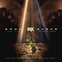 Thumbnail for the Fnx - Soul Clean / Luke 4:18 link, provided by host site