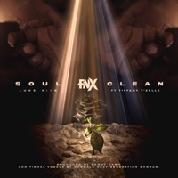 Thumbnail for the Fnx - Soul Clean / Luke 4:18 link, provided by host site