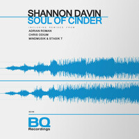 Thumbnail for the Chris Odium - Soul of Cinder - Chris Odium Remix link, provided by host site