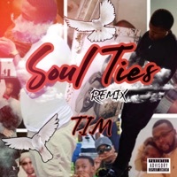 Thumbnail for the T.I.M. - Soul Ties (Remix) link, provided by host site