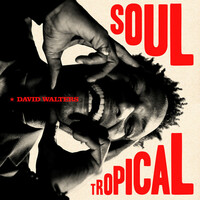 Thumbnail for the David Walters - Soul Tropical link, provided by host site