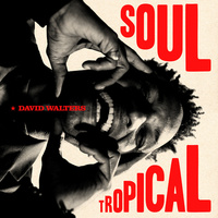 Thumbnail for the David Walters - Soul Tropical link, provided by host site