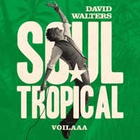 Thumbnail for the David Walters - Soul Tropical (Voilaaa Remix) link, provided by host site