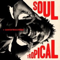 Thumbnail for the David Walters - Soul Tropical link, provided by host site