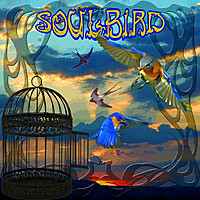 Thumbnail for the Peter Green - SoulBird link, provided by host site