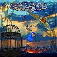 Thumbnail for the Peter Green - SoulBird link, provided by host site