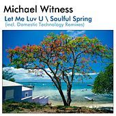 Thumbnail for the Michael Witness - Soulful Spring (Domestic Technology Remix) link, provided by host site