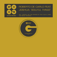 Thumbnail for the Roberto De Carlo - Soulful Things link, provided by host site