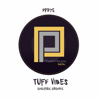Thumbnail for the Tuff Vibes - Soulfuric Grooves (Tuff Vibes Love To Jazz-N-Groove Mix) link, provided by host site