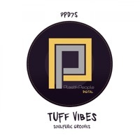 Thumbnail for the Tuff Vibes - Soulfuric Grooves (Tuff Vibes Love to Jazz-N-Groove Mix) link, provided by host site