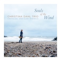 Thumbnail for the Christina Dahl - Souls of the Wind link, provided by host site