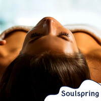 Thumbnail for the Charles Thomas - Soulspring link, provided by host site