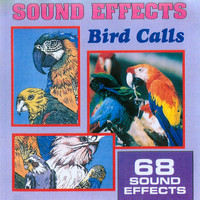 Thumbnail for the Anton Hughes - Sound Effects - Bird Calls link, provided by host site