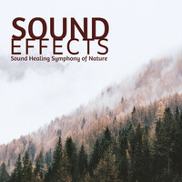 Thumbnail for the Calming Music Academy - Sound Effects Mp3 - Sound Healing Symphony of Nature link, provided by host site