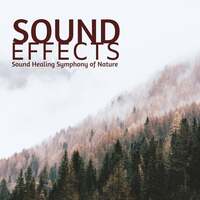 Thumbnail for the Calming Music Academy - Sound Effects Mp3 - Sound Healing Symphony of Nature link, provided by host site