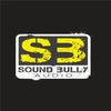 Thumbnail for the Dub Professors - Sound get Bullied link, provided by host site