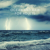 Thumbnail for the Ocean Waves Specialists - Sound Machine Ocean and Rain for Adults link, provided by host site