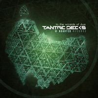 Thumbnail for the Soulfix - Sound Machine - Tantric Decks Remix link, provided by host site
