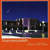 Thumbnail for the Hassan Shamaee Zadeh - Sound of River (Persian Music) link, provided by host site