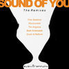 Thumbnail for the Gushi - Sound of You (The Remixes) link, provided by host site