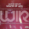 Thumbnail for the Gushi - Sound of You (The Remixes) link, provided by host site