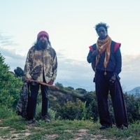 Thumbnail for the Saul Williams - Sound then Words link, provided by host site