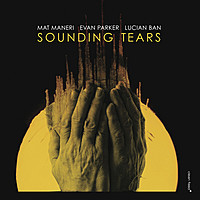 Thumbnail for the Mat Maneri - Sounding Tears link, provided by host site