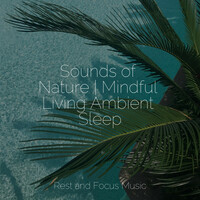 Thumbnail for the Yoga Soul - Sounds of Nature | Mindful Living Ambient Sleep link, provided by host site