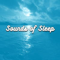 Thumbnail for the Ocean Waves For Sleep - Sounds of Sleep link, provided by host site