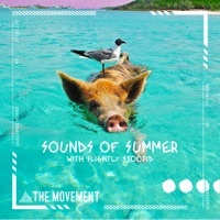 Thumbnail for the Slightly Stoopid - Sounds of Summer link, provided by host site