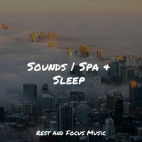 Thumbnail for the Binaural Beats Brain Waves Isochronic Tones Brain Wave Entrainment - Sounds | Spa & Sleep link, provided by host site