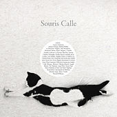 Thumbnail for the Michael Stipe - Souris nocturne link, provided by host site