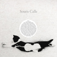 Thumbnail for the Michael Stipe - Souris nocturne link, provided by host site