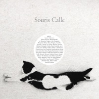 Thumbnail for the Michael Stipe - Souris nocturne link, provided by host site