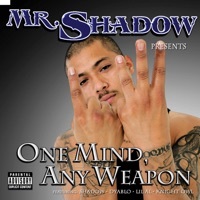 Thumbnail for the Mr. Shadow - Soy Mexicano link, provided by host site