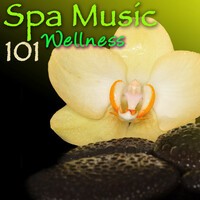 Thumbnail for the Pure Massage Music - Spa link, provided by host site
