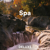 Thumbnail for the Deluxe - Spa link, provided by host site