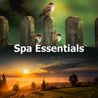 Thumbnail for the Entspannungsmusik - Spa Essentials link, provided by host site