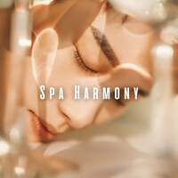 Thumbnail for the Best Relaxing SPA Music - Spa Harmony: Binaural Ocean with Theta Waves for Massage link, provided by host site